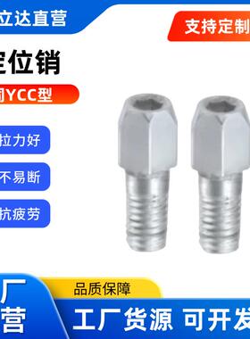 定位销 YCC01 21 02 22 03 23 06 26 07 27d大头锥角外螺纹内六角