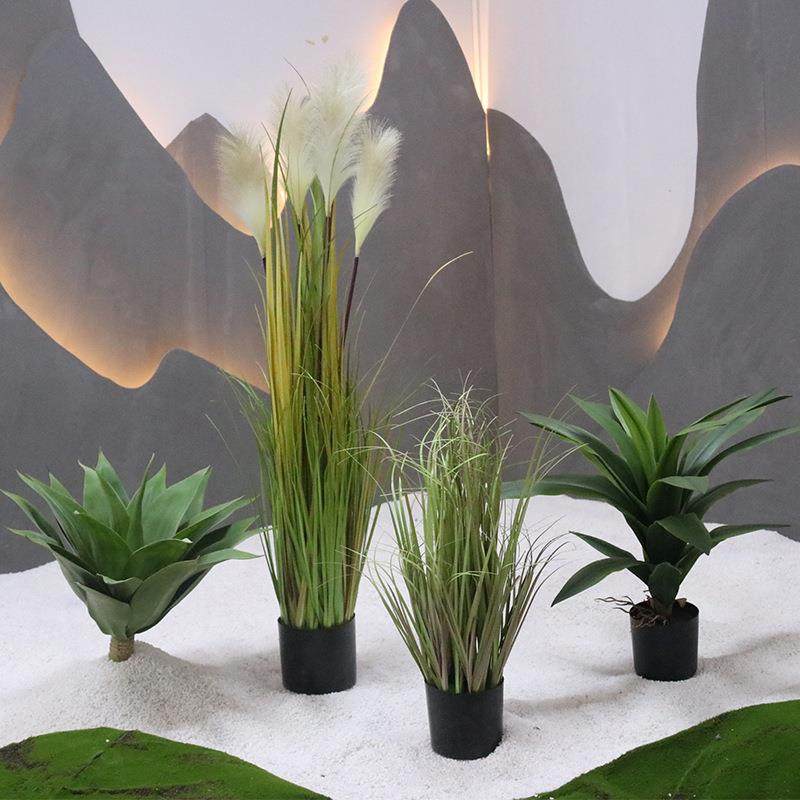 仿真龙舌摆件沙生物景观造景搭配厂仿真FNL绿兰植植假植物假花家