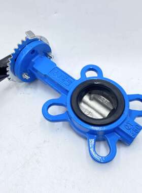 热销！手动蝶阀对夹式D71X/F/J-16QP304四氟不锈钢DN5080