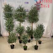 仿真橄榄树盆栽绿化家居工程室内外带果仿真橄榄树厂家