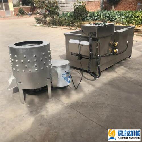 不锈钢制作羊头打毛机小型羊头加工去毛机器新款定制羊蹄脱毛机