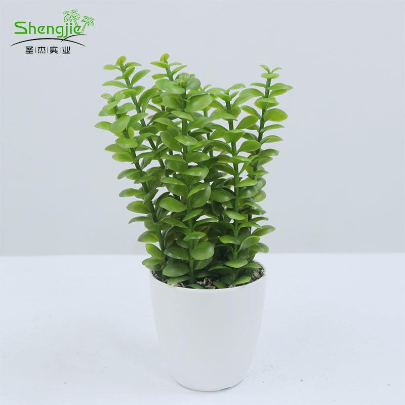 北欧仿真金钱叶尤加利叶仿真植物家居办公室婚庆装饰摆件仿真绿植