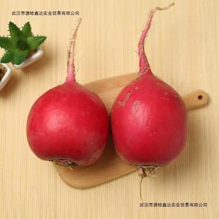 东北大红萝卜 红皮白心大红袍圆萝卜新鲜农家雌性甜脆生吃5斤包邮