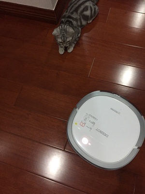 真实对比科沃斯DK35和石头S51扫地机器人哪个好,区别大不大呢?