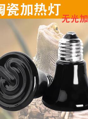 陶瓷加热灯爬宠宠物无光灯龟背爬虫陆龟蜥蜴保温灯泡鹦鹉mmV