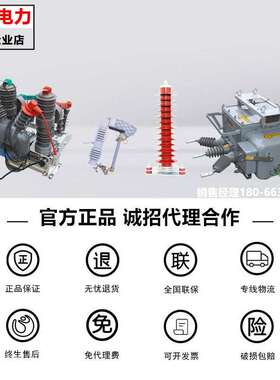 ZW20-12FG/630A柱上10KV户外高压分界真空断路器智能看门狗开关