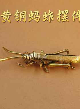 2026黄铜蚂蚱蝗虫铜制工艺品家居摆件茶宠蚱蜢复古收藏古玩手把件