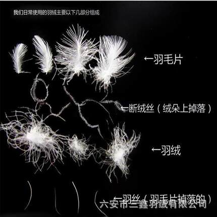 新款直销羽绒水洗2-4cm白鹅绒鹅毛羽毛沙发羽丝绒纺织制品填充物