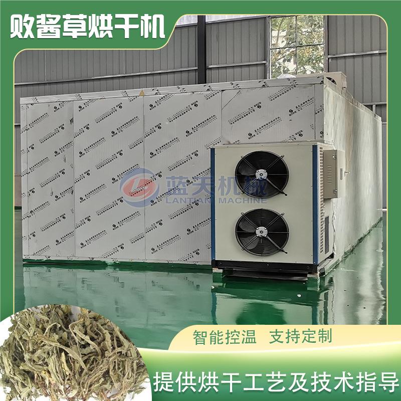 败酱草烘干机 黄花龙牙瓜子草泽败药材烘干房 空气能苦菜烘干设备
