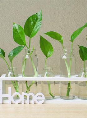 宿舍咖啡厅桌面摆件茶几上的摆件客厅吧台卫生间装饰品摆件 创意