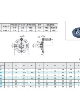 背面波纹手轮 转动手柄 HAM31-D63/D80/D100/D125/D160/D200/D250