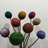 巴西进口裂纹果帝王球干果手工摆件落地插花装 饰摆件干花千纹果