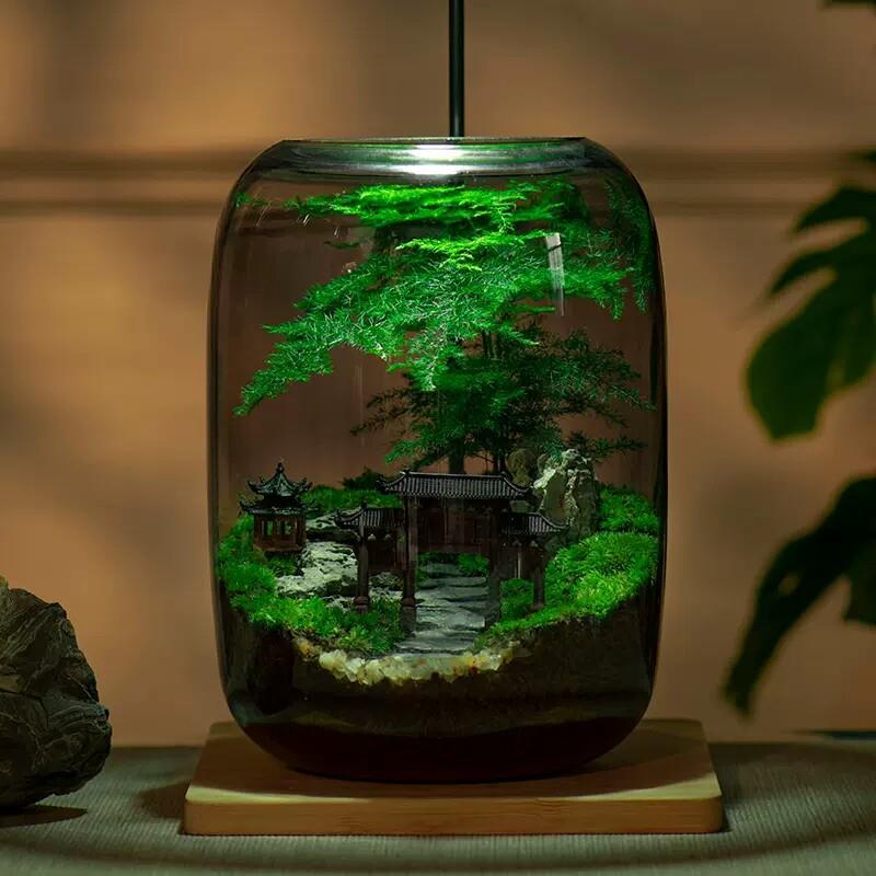 苔藓微景观生态瓶桌面创意小摆件办公室盆栽造景植物玻璃瓶养鱼缸