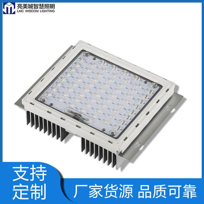 led模组户外光源模组市政工程亮化模组道路模组50W-60W灯具光源
