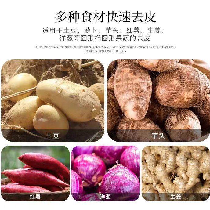 商用豆姜猪蹄蔬清洗机不伤果肉生去皮机果芋头土红薯VGO清洗去皮
