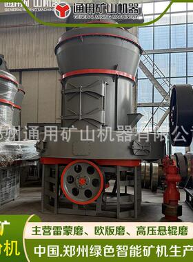 通矿 磨粉机 10-425目细度可调 时产2-15吨 新款雷蒙磨MTW175