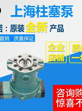 10YCY 16YCY 32YCY 100YCY 108YCY 250YCY 400YCY14-1D轴向柱塞泵