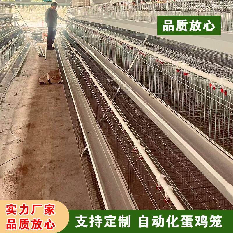 阶梯式蛋鸡笼三层镀锌蛋鸡笼层叠蛋鸡笼蛋鸭笼养殖场自动化蛋鸡笼