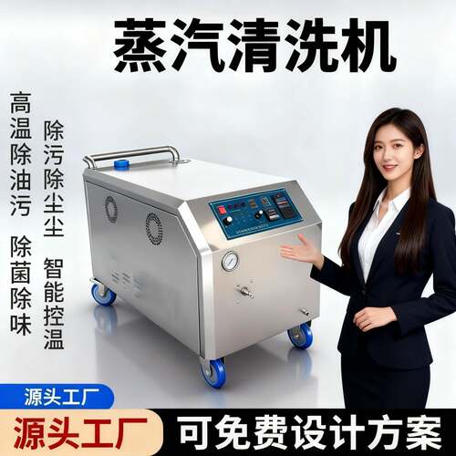 工业饱和蒸汽去油污清洗机化工厂管件阀门清洗设备