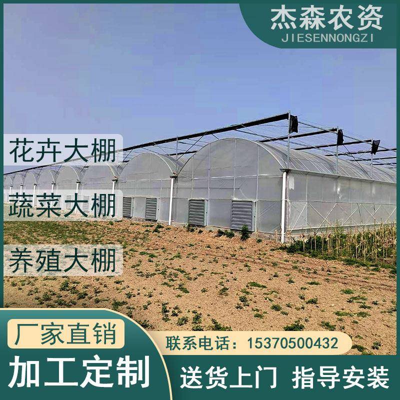 大棚骨架钢管农业连体联栋蔬菜养殖养猪养鸡温室大棚热镀锌椭圆管