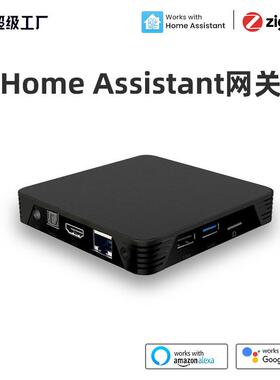 HomeAssistant中枢网关兼容多个平台智能家居核心HA智能网关