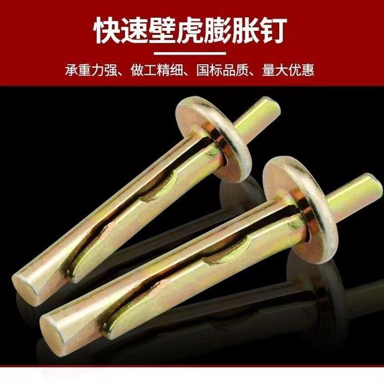 镀彩插式壁虎锤击膨胀钉两片式锤击一体膨胀钉敲击式插片钉子