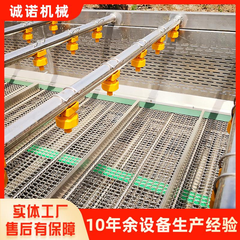 大枣枸杞清洗风干流水线 全自动番茄气泡清洗机 果蔬喷淋清洗设备
