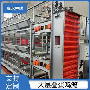 立式大层叠蛋鸡笼全自动化养殖场用养殖设备集蛋上料清粪一体设备