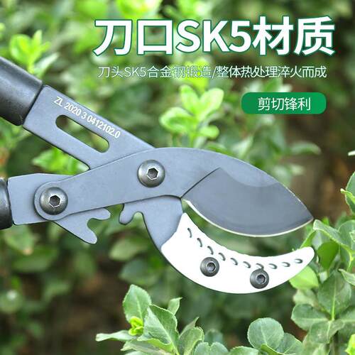 赢大新型缩3粗伸枝剪大力剪园林园艺缩伸果树林剪摘果剪园工具