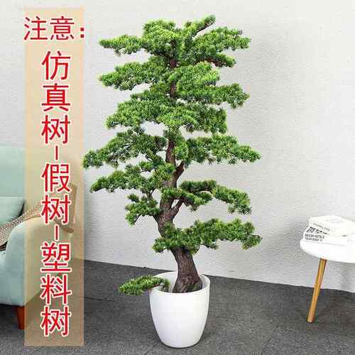 幸AL102502福树客松花景客件厅玄关摆室内装饰假树仿迎植物盆栽大