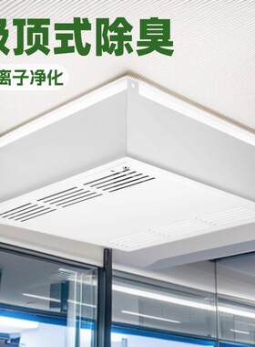 吊顶式等离子净化杀菌装置天花式垃圾房高能离子除臭净化系统