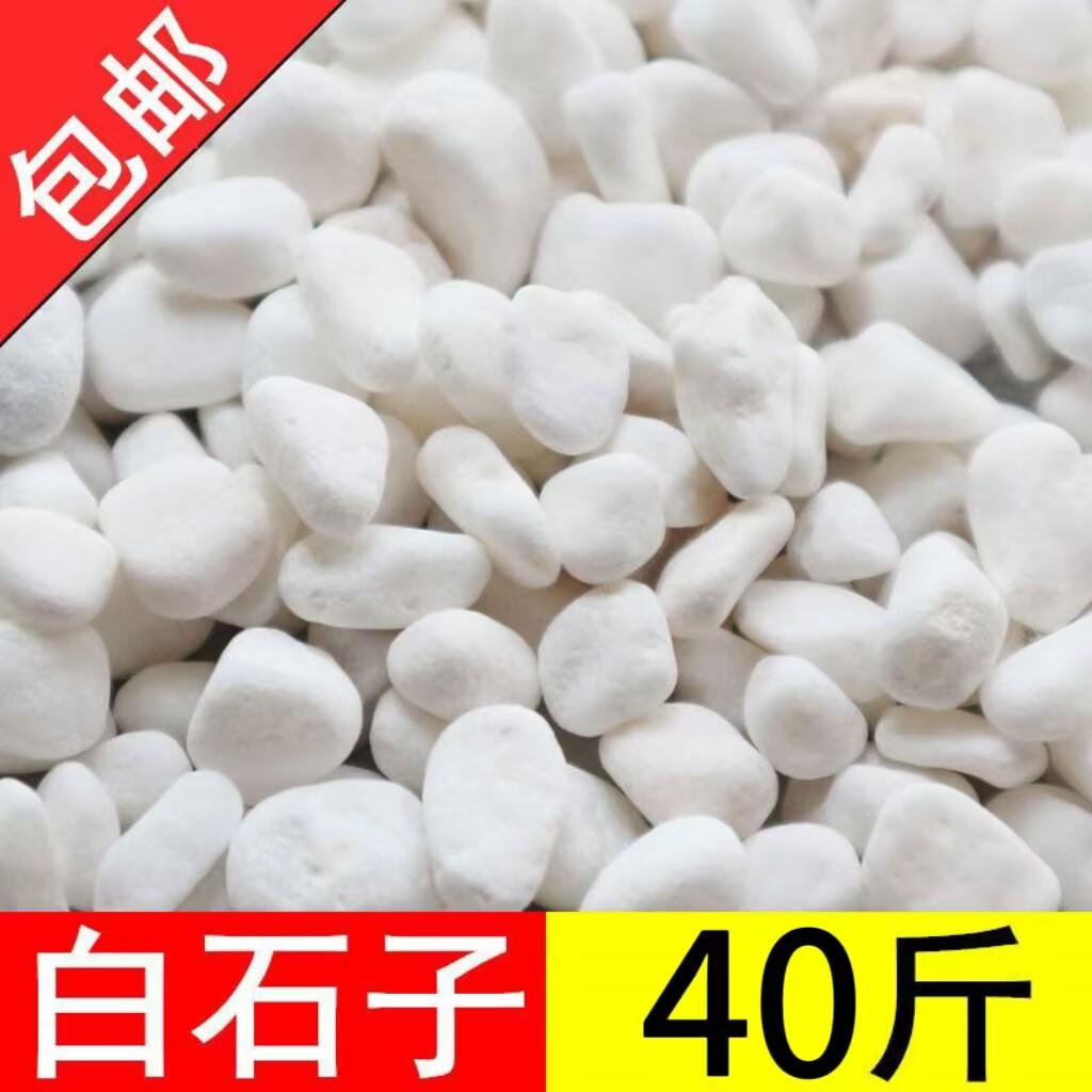 浙江庭院铺路铺地小白石子园林枯山水白石子天然颗粒养花多肉盆栽