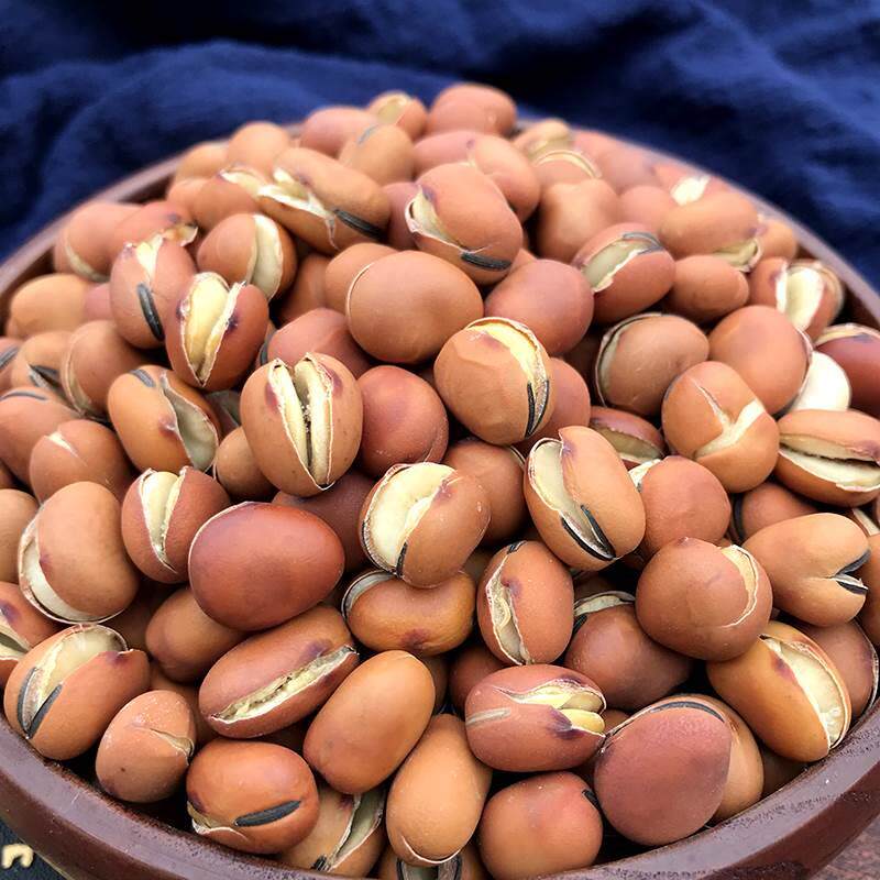 炒胡豆原味龙眼豆蚕豆蚕豆零食怀旧老式沙胡豆散装干 干货