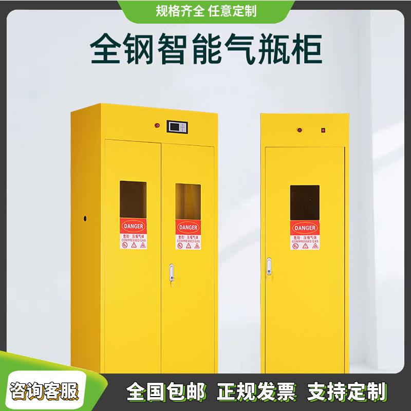 工业防爆气瓶柜实验室乙炔氦气安全柜氧气氢气储存柜单双瓶煤气柜