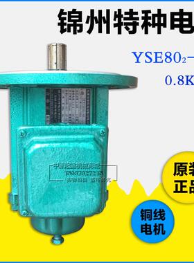 锦州特种电机YSE802-4D 0.8KW起重冶金软起动制动电机大车运行机