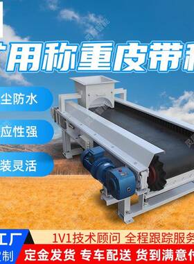 矿用称重皮带秤安装灵活 数据追溯皮带计量称 ICS-JT称重皮带秤