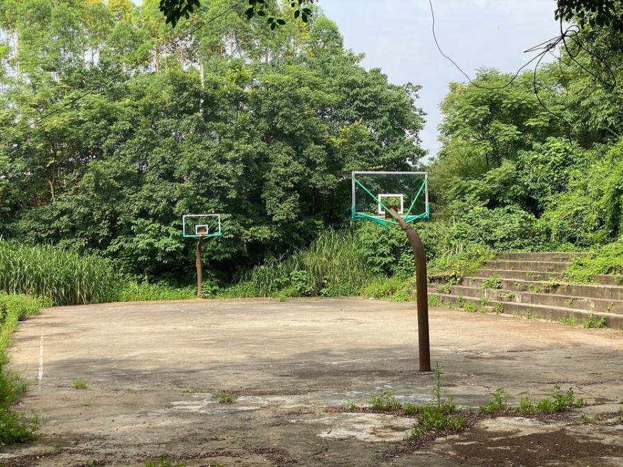 4月24日柳州市龙城化工总厂生活区叶山路29号土地及地上附着物网络拍卖公告