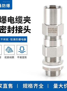防爆接头电缆密封夹紧接头 防爆格兰头BDM-VIII防爆铠装格兰头