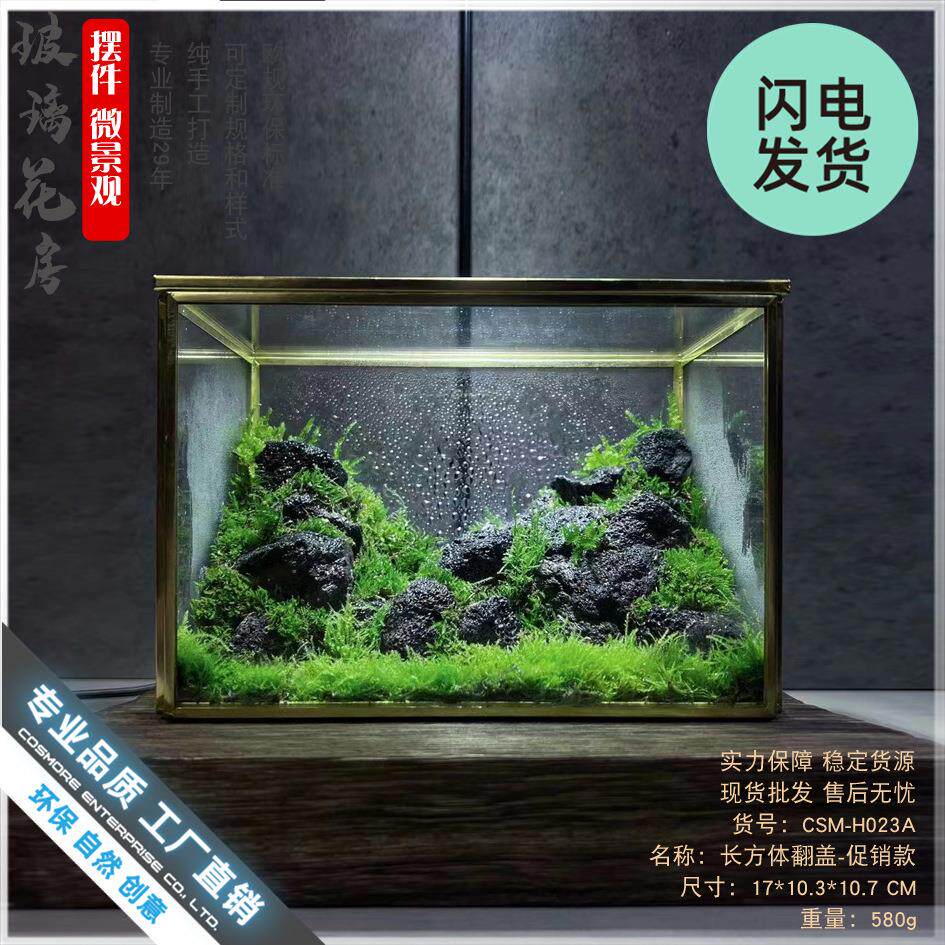 生态瓶青苔微景观盒子玻璃房盆景苔藓微缩森林缸桌面花盆摆件长方