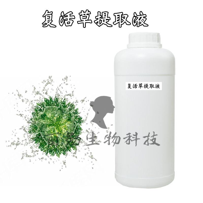 复活草提取液 复活草提取物 卷柏提取液原料 植物提取液