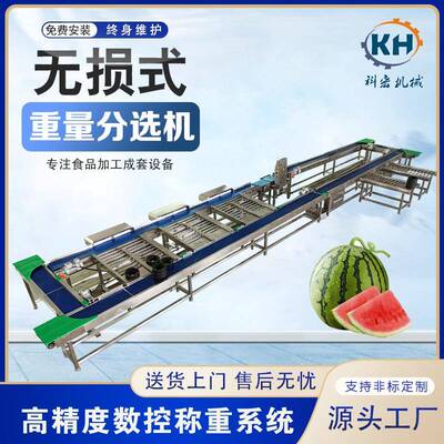 机械无损式重量分选机菠萝青芒柚子智能分拣哈密瓜西瓜分选