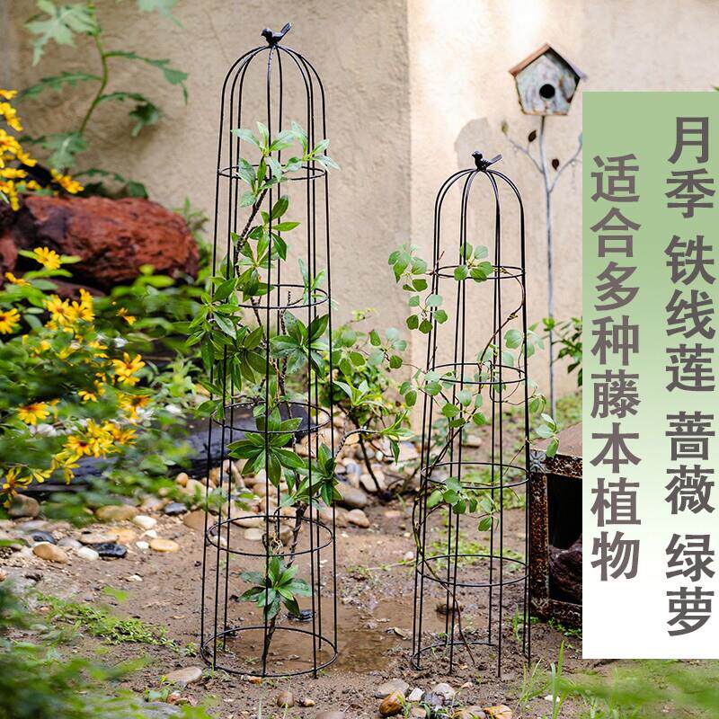 春季铁艺玫瑰月季花柱架铁线 线莲爬藤架攀藤架子花盆支架蔷薇大