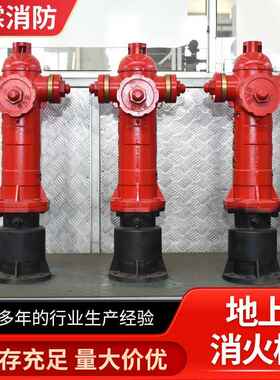 消火栓防冻防撞调压快开型SSFT100/65SSFW150/80 地上消火栓