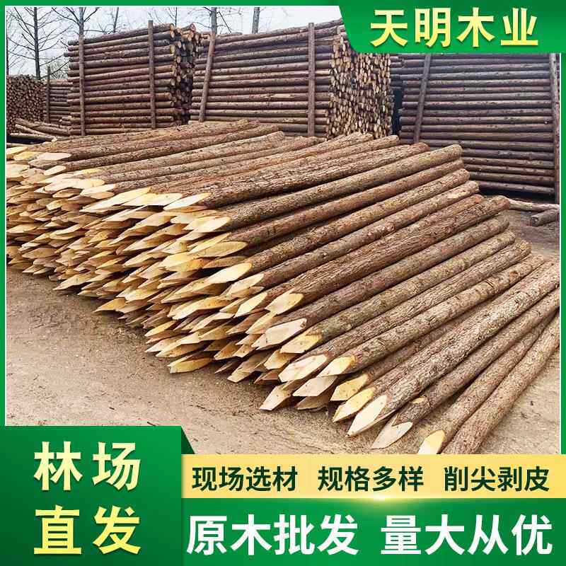 杉木桩河道驳岸打桩木护坡护堤工程木桩削尖柳杉香杉林场直发