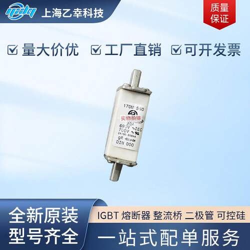 巴斯曼熔断器 170M1535 170M1558 170M1559 170M1560 170M1561