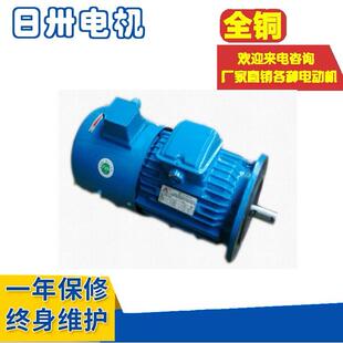 645W 6YTSZ250M2 上海起重变频电动机YZP250M2 6YTSP250M2