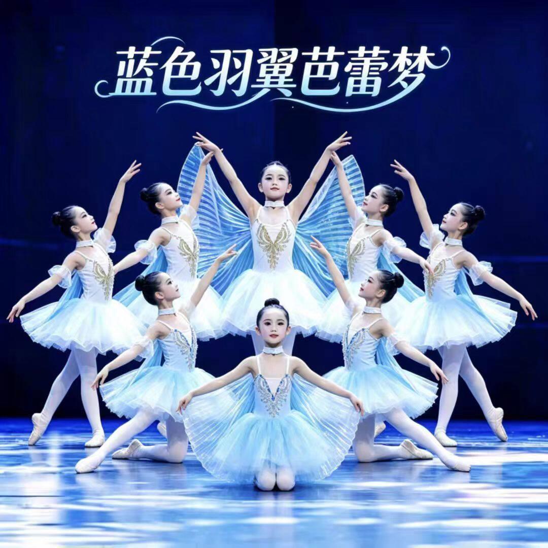 化茧成蝶舞蹈服装儿童小风筝演出服翅膀道具小天鹅舞蹈服女童芭蕾