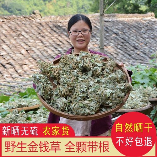 新疆包邮广东野生金钱草农家新晒金钱草干500g大叶广金钱草全颗另