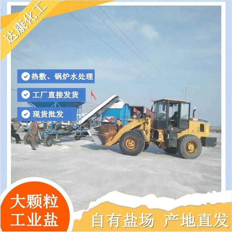 工业级大颗粒盐 99含量工业粗盐 工业用大颗粒工业盐现货厂家