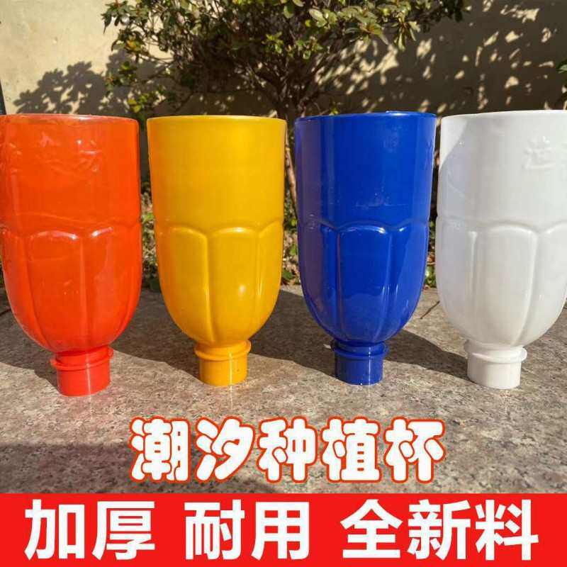 杯鱼种植种植系统菜共生虹吸杯潮汐潮汐种植系统无土栽培器专用